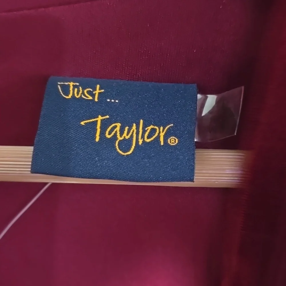 Taylor Elegant Velvet Burgundy Dress - Picture 6 of 9